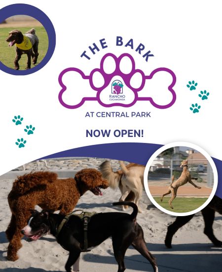 The Bark at Central Park Grand Opening
