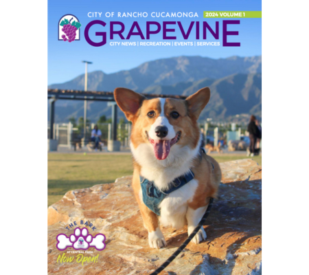 Grapevine 2024 Volume 1