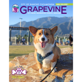 Grapevine 2024 Volume 1 Cover