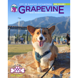 2024 Grapevine Volume 1 cover