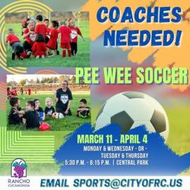 Pee Wee Coaches needed Soccer