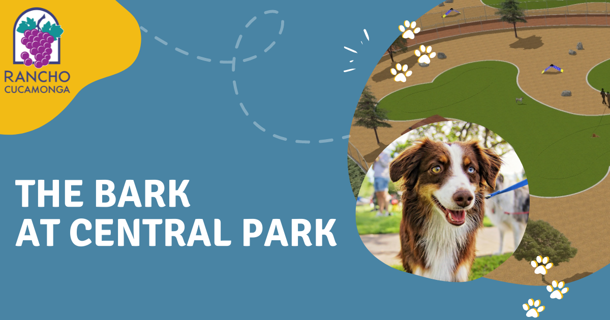 Dog park rendering and photo of a dog