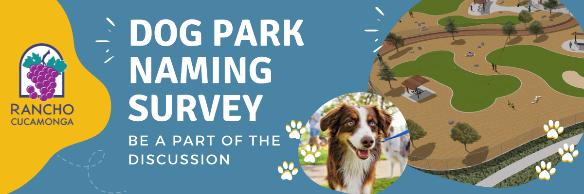 Dog Park Naming Survey with rendering of park and photo of dog