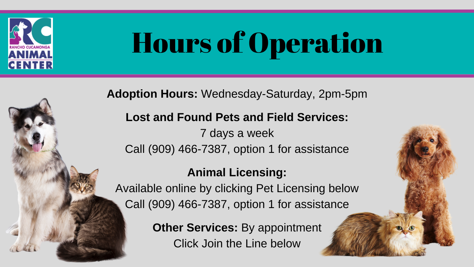 Cat Adoption Team Services - Home