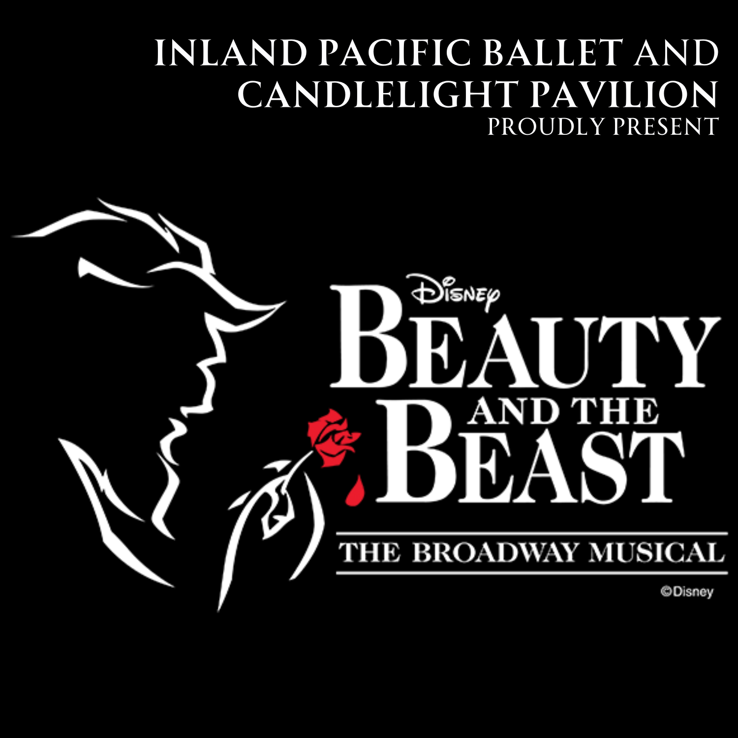 Beauty & the Beast – March 2 to March 10, 2024 show