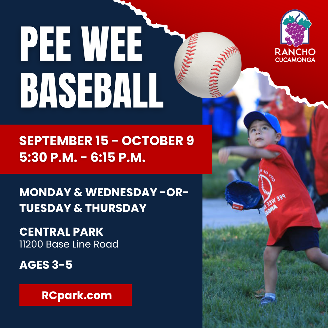 Pee Wee Baseball graphic 