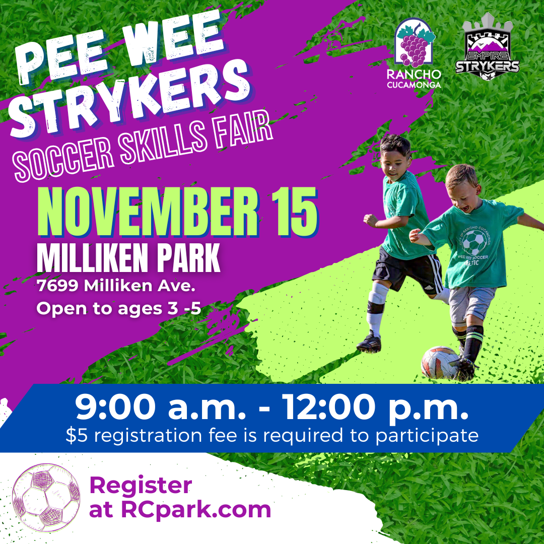 pee wee strykers soccer skills fair