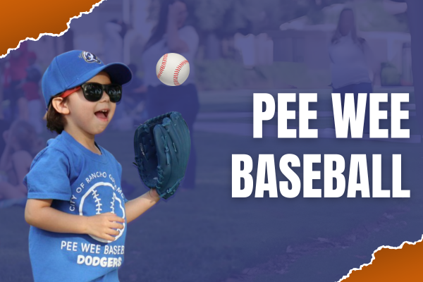 Pee Wee Baseball. Purple background with a young boy wearing a blue baseball cap and sunglasses, with a blue baseball glove on his left hand, stands on a grassy field with other people in the background.