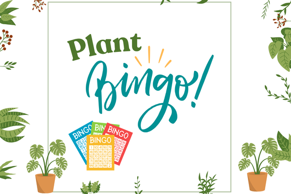 Graphic titled 'Plant Bingo!' displayed in large green and teal lettering with decorative lines suggesting excitement above the word 'Bingo.' The background is framed by various illustrated green plants and leaves around the edges. At the bottom, colorful bingo cards and potted plants are shown, including different leafy houseplants in pots.