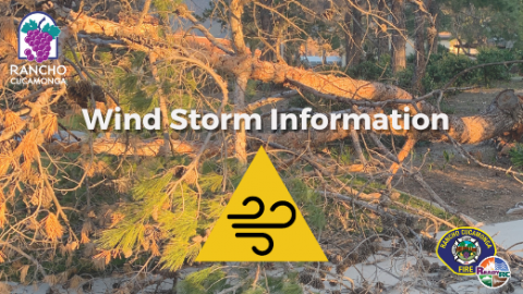 Wind Storm Information