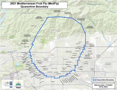 Medfly Map