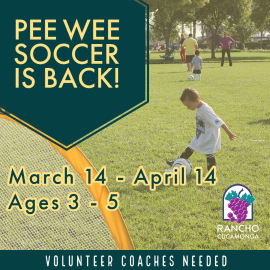 Pee Wee Soccer Spotlight