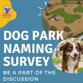 Rendering of dog park with photo of dog