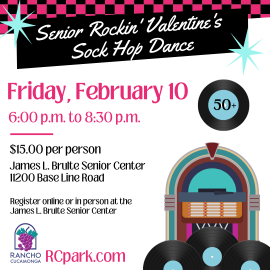 Senior Sock Hop Dance Feb. 10