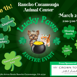 Lucky Paws Adoption Event sponsored by Crown Toyota