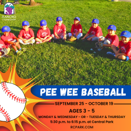 Pee Wee Baseball