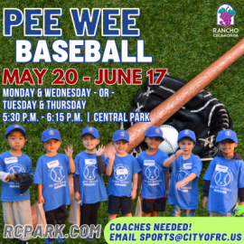 Pee Wee Baseball