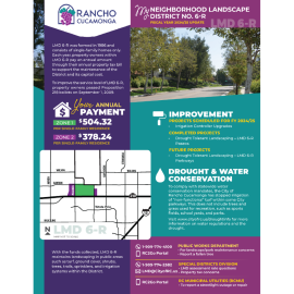 LMD 6-R annual report graphic with project highlights