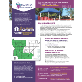 thumbnail for PD-85 annual report for FY 24 25