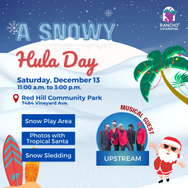 A Snowy Hula Day
