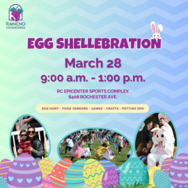 Egg Shellebration