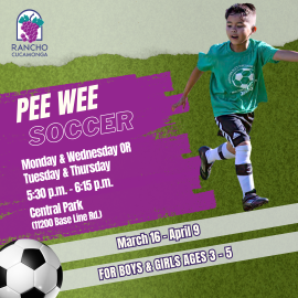 pee wee soccer 2026