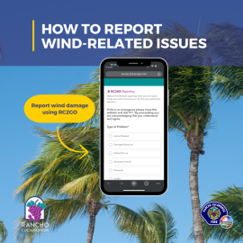 Image of palm trees blowing in the wind with an iphone pictured showing residents how to report wind damage