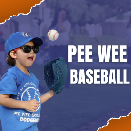 A boy wearing a blue baseball, blue T-Shirt, Sunglasses, and Baseball Mitten. Text: Pee Wee Baseball