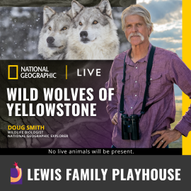 Promotional graphic for National Geographic Live Wild Wolves of Yellowstone. Test reads: “Doug Smith, Wildlife Biologist, National Geographic Explorer.” Image shows a wildlife expert standing outdoors with binoculars, alongside an image of two wolves in snowy terrain, with note: “No live animals will be present.” Footer text reads: “Lewis Family Playhouse.” 