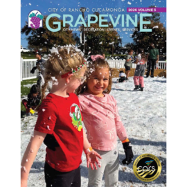 Grapevine cover two girls playing at snow event