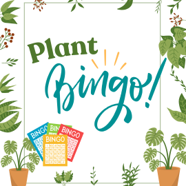 Graphic titled 'Plant Bingo!' displayed in large green and teal lettering with decorative lines suggesting excitement above the word 'Bingo.' The background is framed by various illustrated green plants and leaves around the edges. At the bottom, colorful bingo cards and potted plants are shown, including different leafy houseplants in pots.