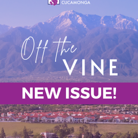 Off the Vine newsletter 