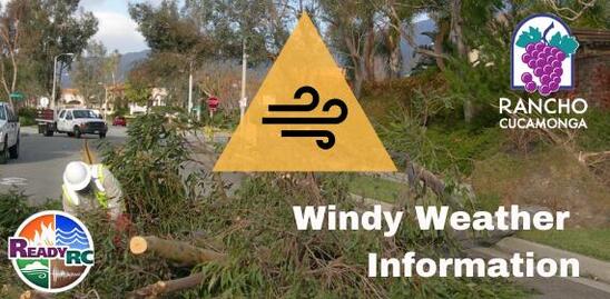 Windy Weather Information